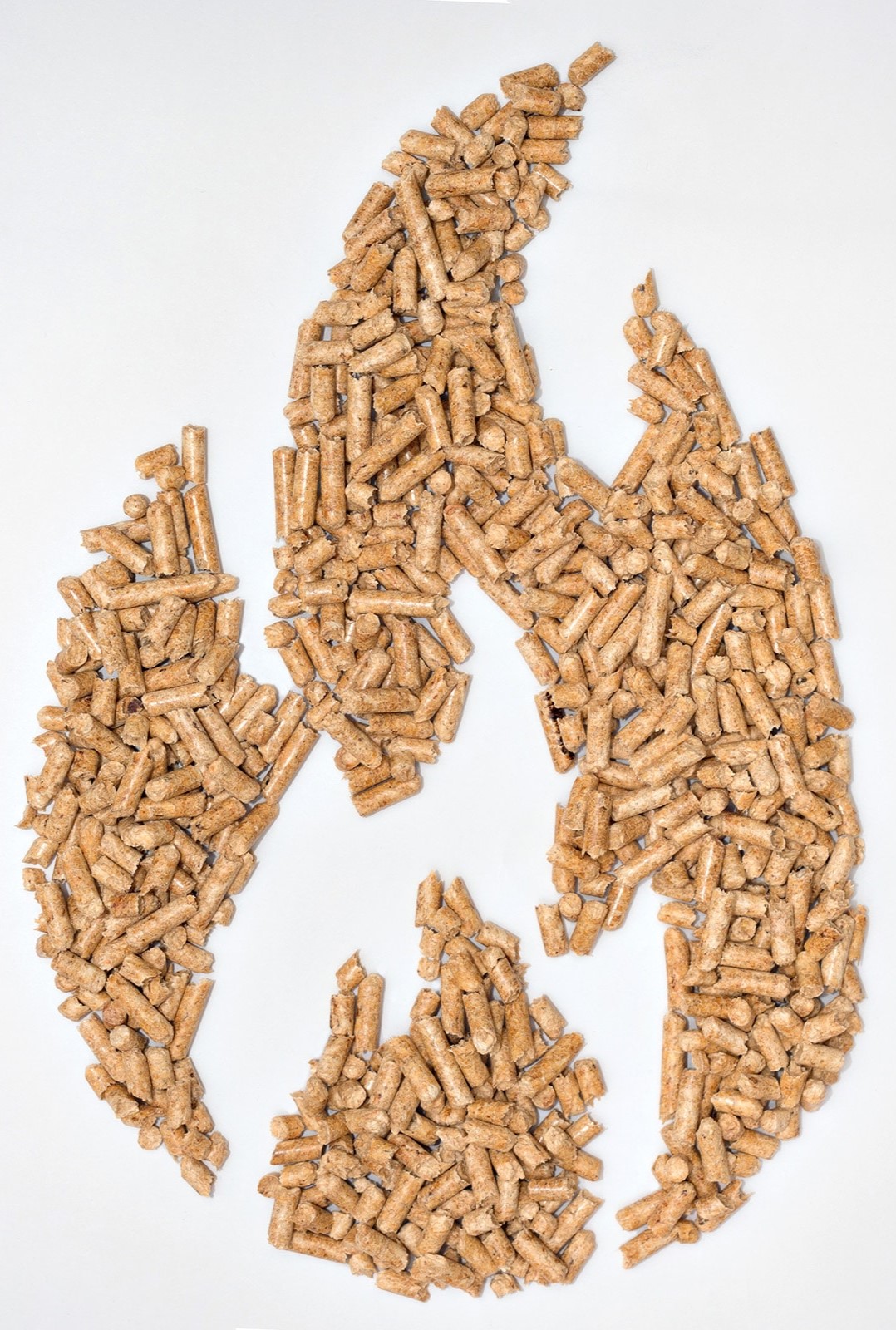 Biomass Pellets